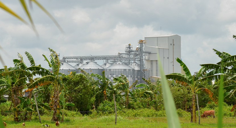 New Panay Agri-Ventures